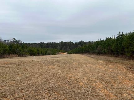 Property in Lincoln County, Mississippi