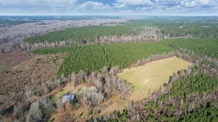 Undeveloped Land for sale in Cleveland County, Arkansas