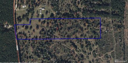 Hunting Land for sale in Tyler County, Texas