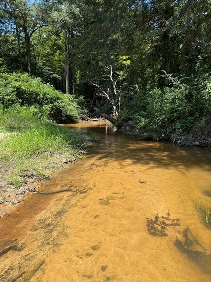 Timberland Property for sale in Winston County, Mississippi