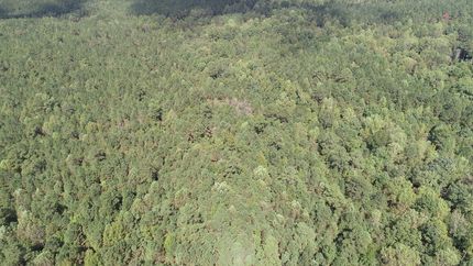 Property for sale in Winston County, Mississippi