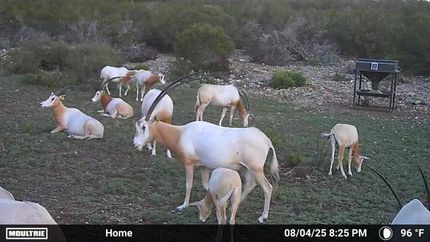 Property for sale in Edwards County, Texas