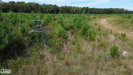 Hunting Land for sale in Dorchester County, South Carolina