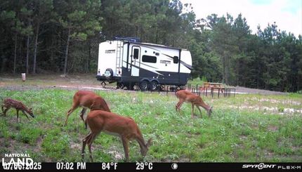 Property in Union Parish, Louisiana