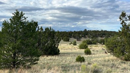 Property for sale in Catron County, New Mexico