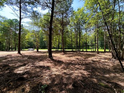 Property for sale in Meigs County, Tennessee