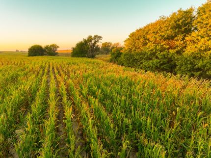 Hunting Land for sale in Graham County, Kansas