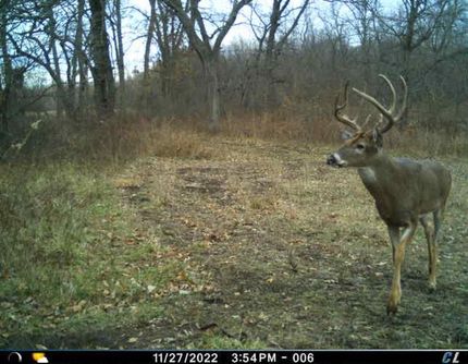 Property in Harrison County, Missouri