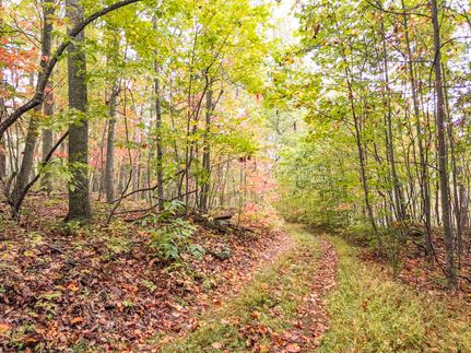 Hunting Land for sale in Monroe County, West Virginia