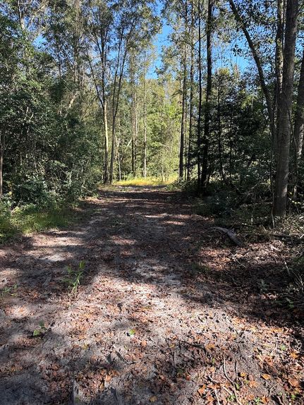 Recreational Property for sale in Duplin County, North Carolina