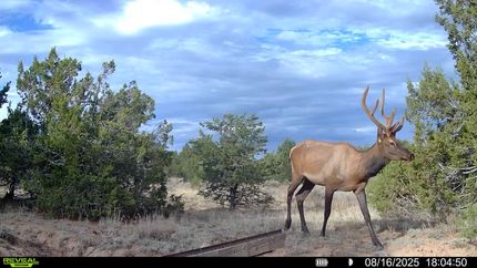 Property for sale in Cibola County, New Mexico