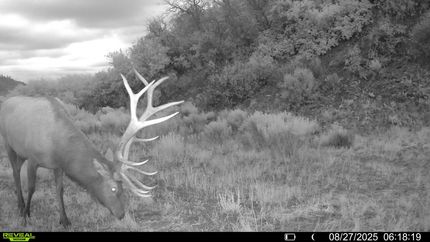 Undeveloped Land for sale in Rio Arriba County, New Mexico