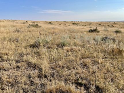 Property for sale in Elbert County, Colorado