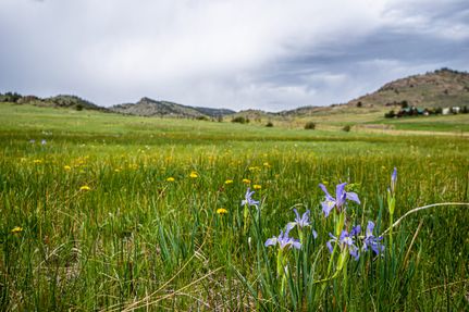 Horse Property for sale in Larimer County, Colorado