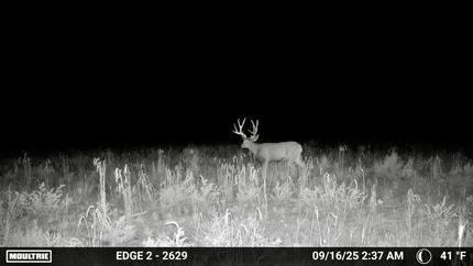 Property in Rio Arriba County, New Mexico