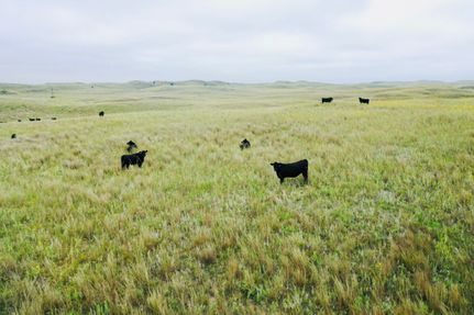 Property for sale in Custer County, Nebraska