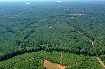 Undeveloped Land for sale in Heard County, Georgia