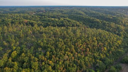 Hunting Land for sale in Stone County, Missouri
