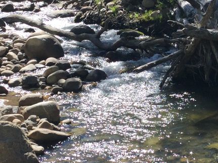 Riverfront Property for sale in Mono County, California