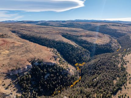 Timberland Property for sale in Big Horn County, Wyoming