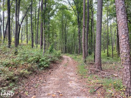 Property for sale in Talladega County, Alabama