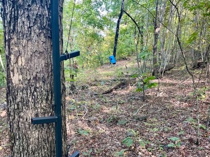 Property for sale in Van Buren County, Arkansas