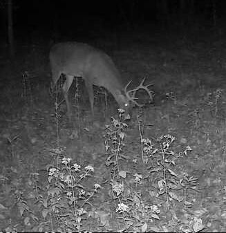 Property for sale in Orange County, Indiana