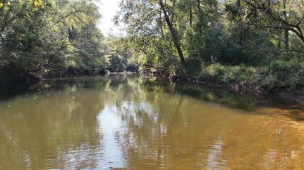 Hunting Land for sale in Conecuh County, Alabama