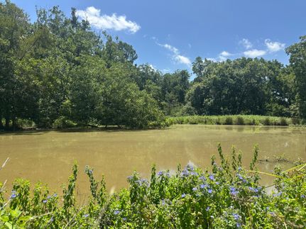 Farm Property for sale in Leon County, Texas