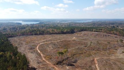 Hunting Land for sale in Laurens County, South Carolina