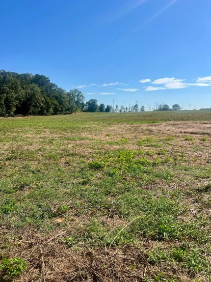 Property for sale in Crenshaw County, Alabama
