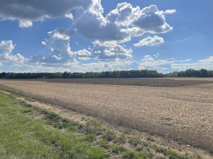 Undeveloped Land for sale in Marengo County, Alabama