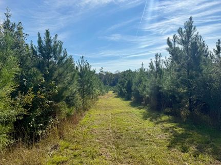 Property for sale in Walthall County, Mississippi