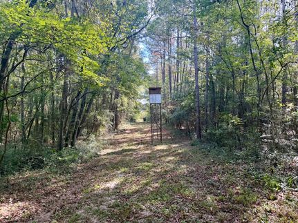 Hunting Land for sale in Walthall County, Mississippi