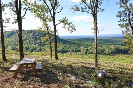 Undeveloped Land for sale in McCurtain County, Oklahoma