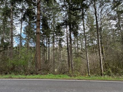 Property for sale in Thurston County, Washington