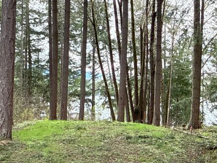 Residential Property for sale in Thurston County, Washington