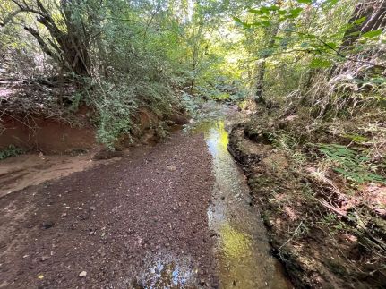 Property for sale in Claiborne Parish, Louisiana