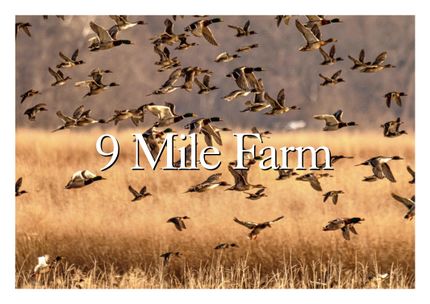 Property for sale in Lawrence County, Arkansas