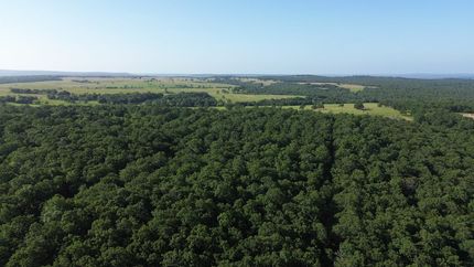 Hunting Land for sale in Pittsburg County, Oklahoma