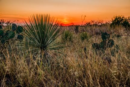 Property for sale in Dimmit County, Texas