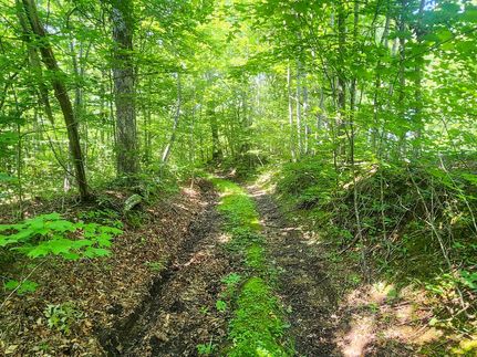 Property in Scott County, Tennessee