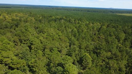 Property for sale in Georgetown County, South Carolina