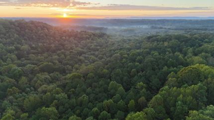 Farm Property for sale in Morgan County, Alabama