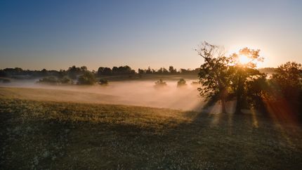 Ranch Property for sale in Obion County, Tennessee