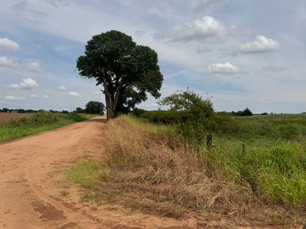 Property for sale in Harper County, Kansas