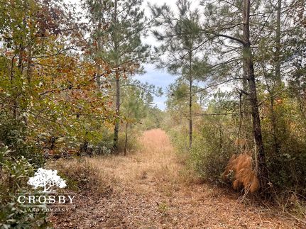 Property in McIntosh County, Georgia