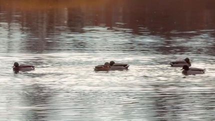 Ranch Property for sale in Pushmataha County, Oklahoma