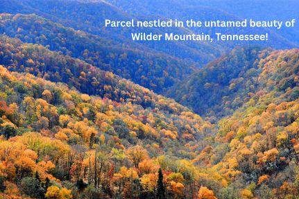 Undeveloped Land for sale in Fentress County, Tennessee