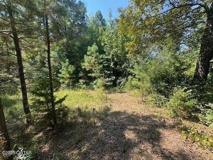 Property for sale in Carroll County, Tennessee